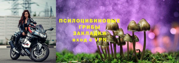 эйфоретик Алексин