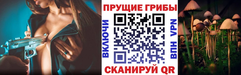 дарк нет клад  mega ONION  Галлюциногенные грибы Psilocybine cubensis  Жирновск  цены наркотик 