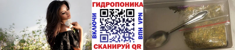 купить наркотики цена  Жирновск  kraken маркетплейс  Бошки марихуана конопля 